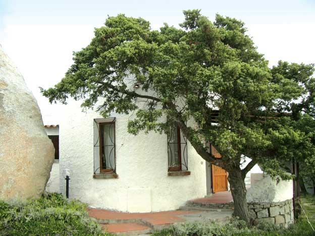 Villetta Cenni Santa Teresa Gallura Exterior foto